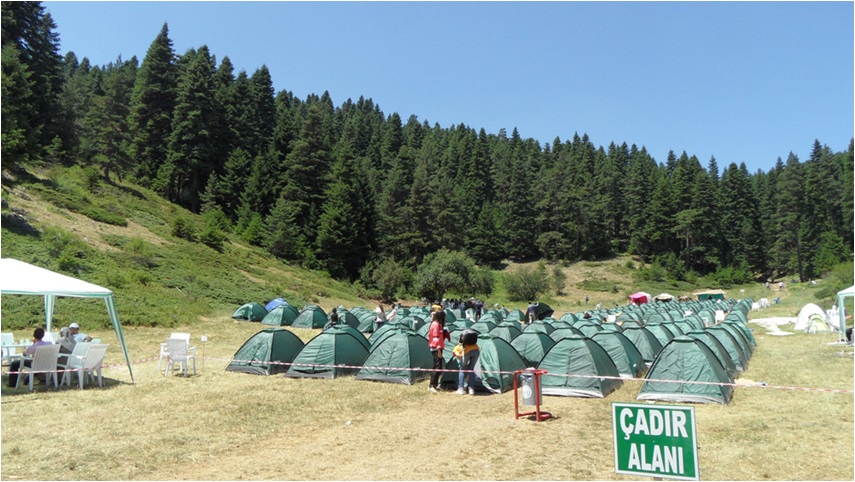 Türkiye'deki kamp alanları